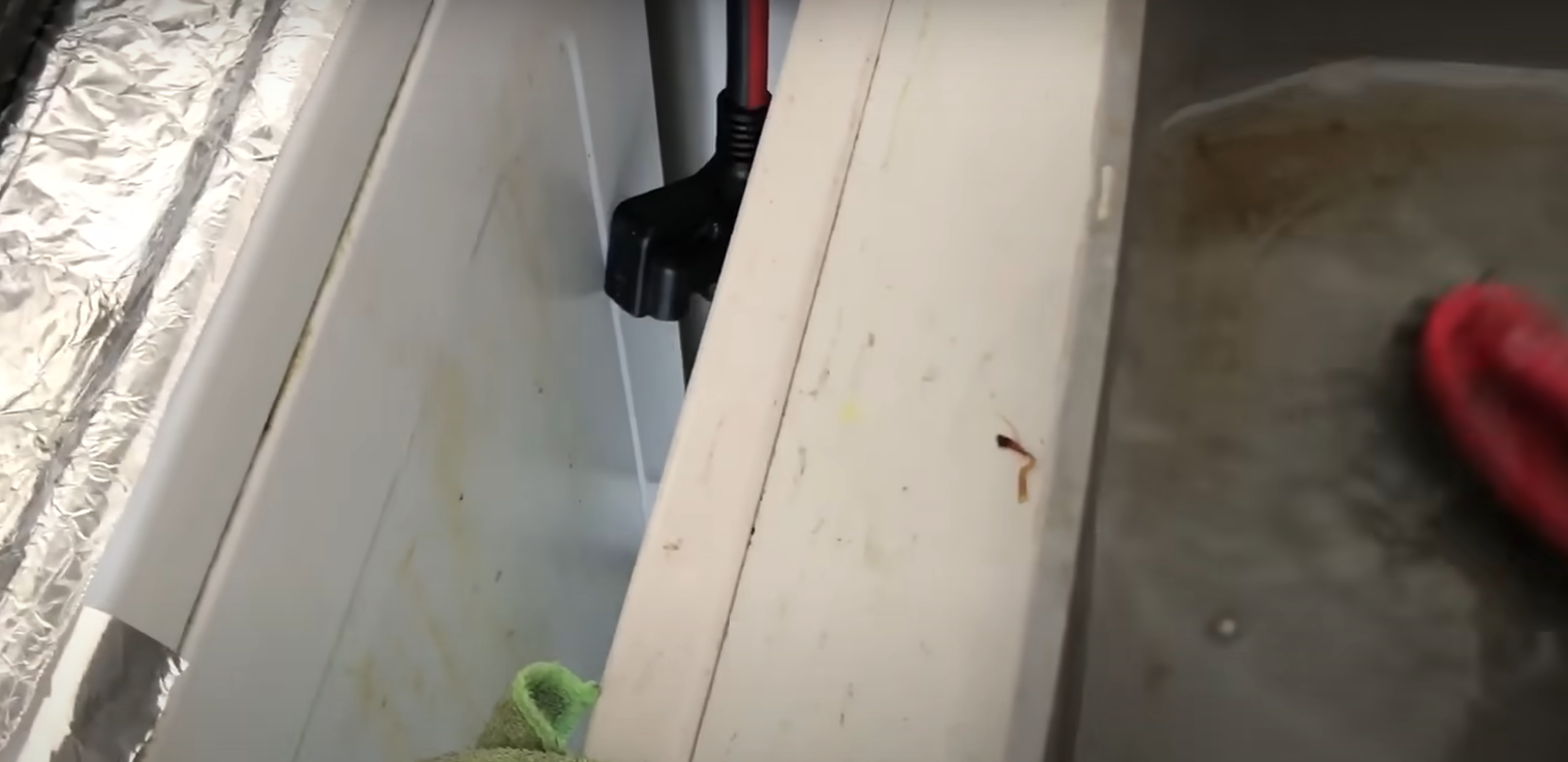 How to Protect Kitchen Wall From Grease? KitchenProfy