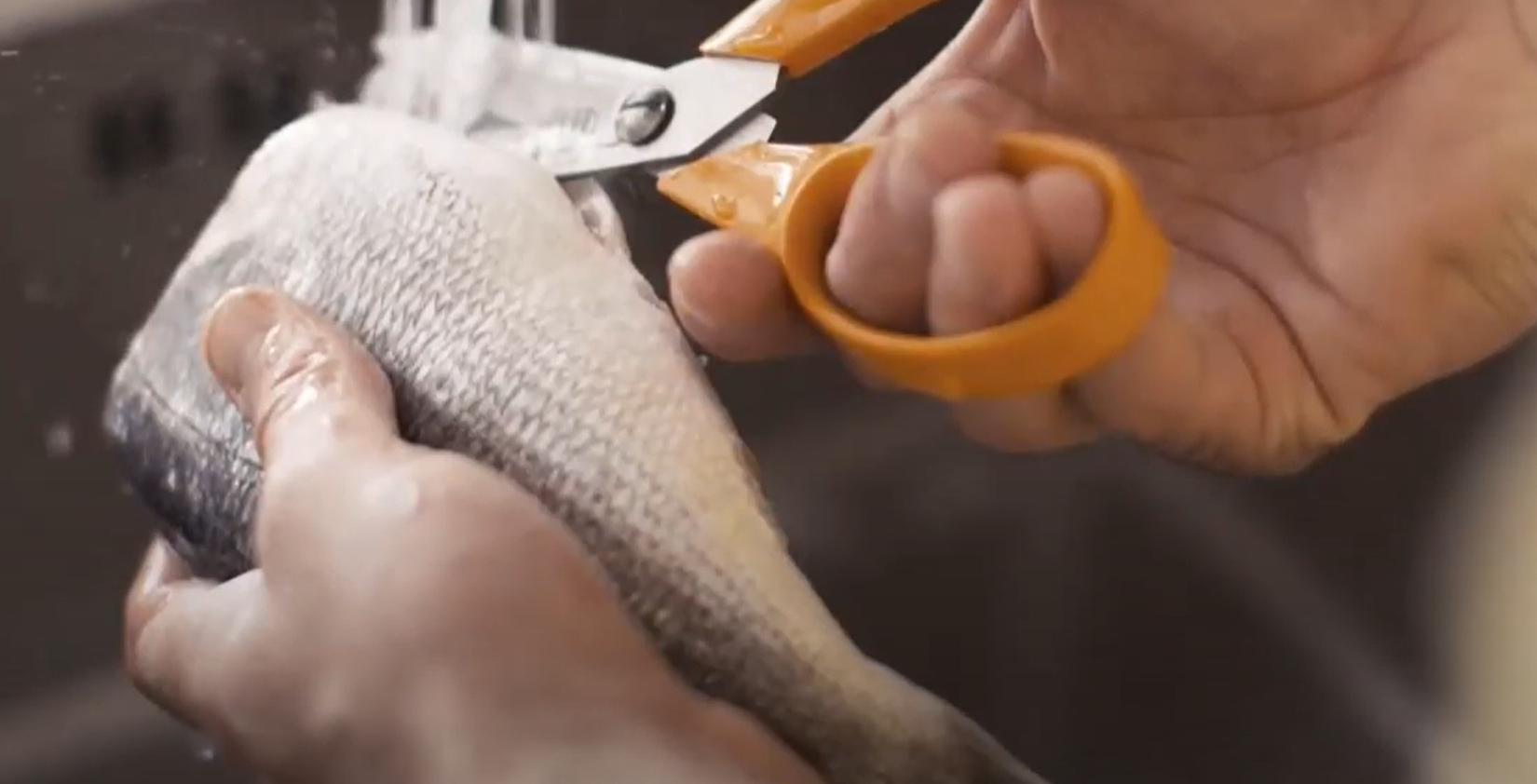 Cutting fish filets