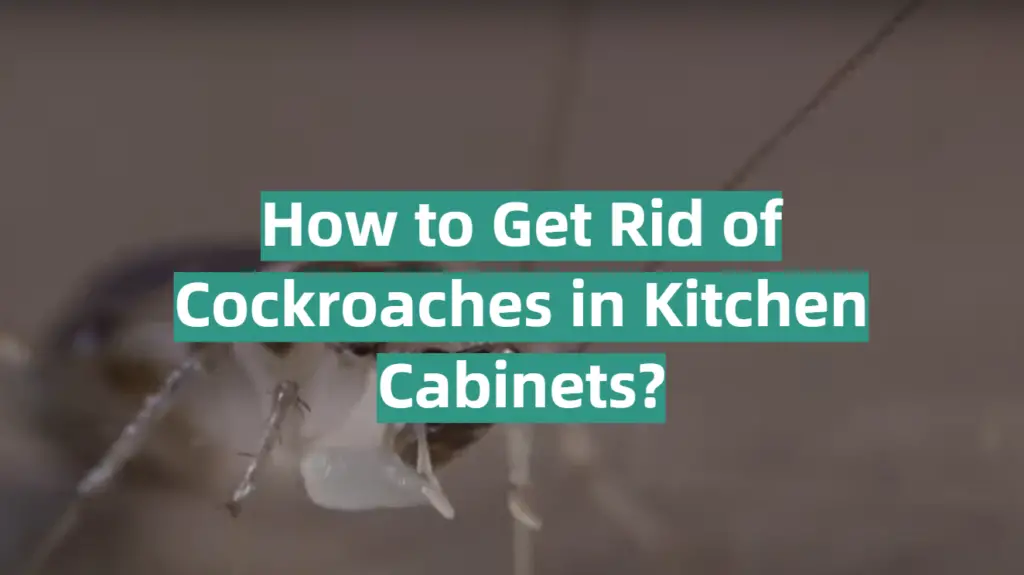 How To Get Rid Of Cockroaches In Kitchen Cabinets? - KitchenProfy