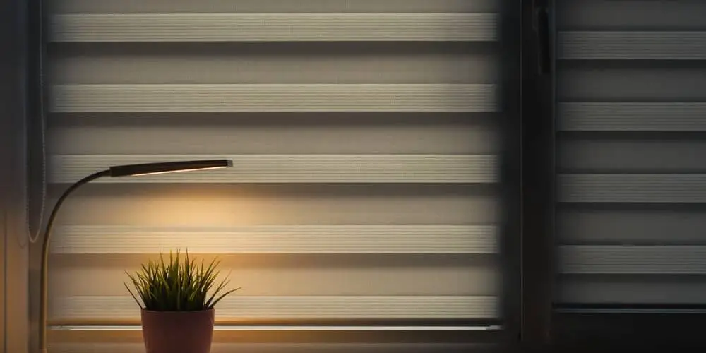 What are the window blinds that are trending
